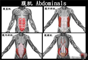 腹肌怎麽練,91香蕉视频在线观看视频健健身器材公司告訴你.jpg